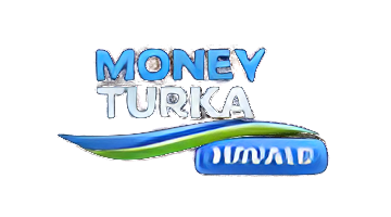 Money Turka Havale